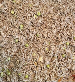 Haitian Black Mushroom Rice & Peas